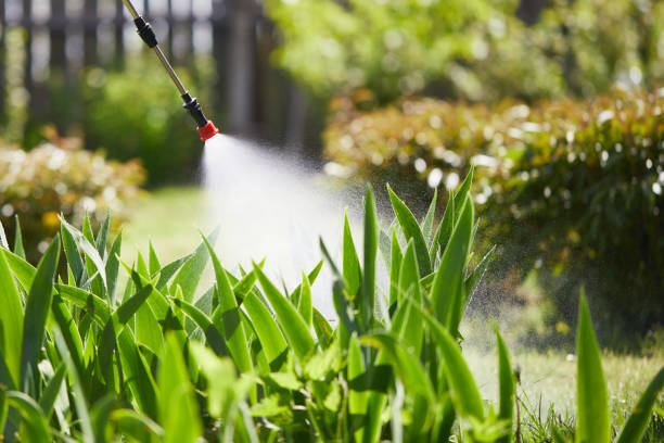 Tamper-Resistant Bait Stations for Rodents in Vidalia