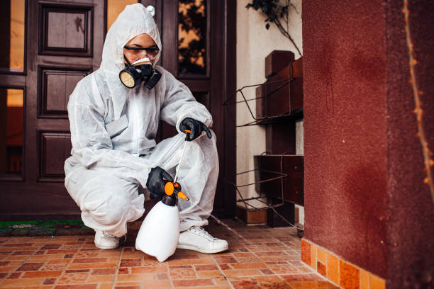 Attic and Crawl Space Rodent Treatment in Vidalia