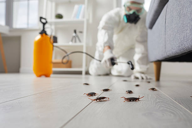 Commercial Rodent Management in Vidalia